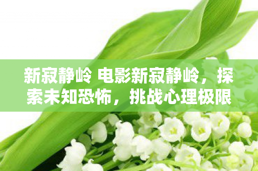 新寂静岭 电影新寂静岭，探索未知恐怖，挑战心理极限，新寂静岭，探索未知恐怖，挑战心理极限