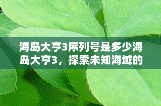 海岛大亨3序列号是多少海岛大亨3，探索未知海域的冒险之旅，海岛大亨3，探索未知海域的冒险之旅
