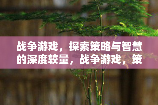 战争游戏,探索策略与智慧的深度较量,战争游戏,策略与智慧的深度较量 战争游戏,探索策略与智慧的深度较量,战争游戏,策略与智慧的深度较量