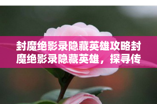 封魔绝影录隐藏英雄攻略封魔绝影录隐藏英雄，探寻传奇世界的秘密，封魔绝影录隐藏英雄全攻略，解锁传奇世界的秘密