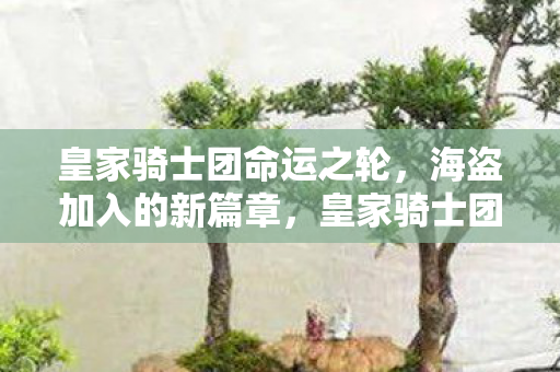 皇家骑士团命运之轮，海盗加入的新篇章，皇家骑士团，命运之轮新篇章，海盗势力加入战局