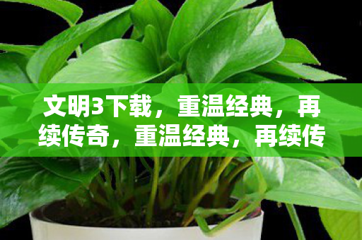 文明3下载，重温经典，再续传奇，重温经典，再续传奇，文明3下载