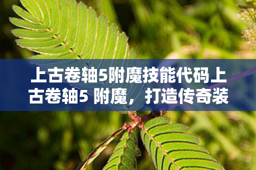 上古卷轴5附魔技能代码上古卷轴5 附魔，打造传奇装备，解锁无限可能，上古卷轴5附魔技能代码，解锁传奇装备，开启无限可能