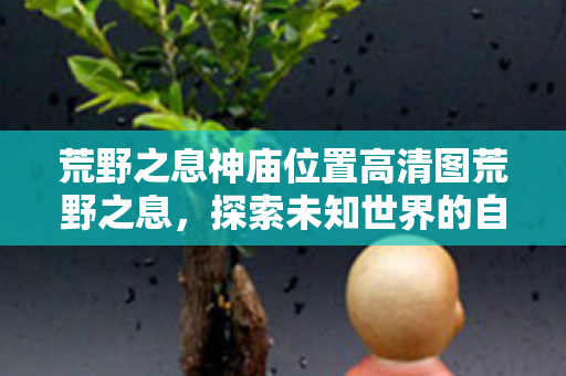 荒野之息神庙位置高清图荒野之息,探索未知世界的自由与冒险,塞尔达传说,荒野之息神庙位置高清图,探索未知世界的自由与冒险 荒野之息神庙位置高清图荒野之息,探索未知世界的自由与冒险,塞尔达传说,荒野之息神庙位置高清图,探索未知世界的自由与冒险