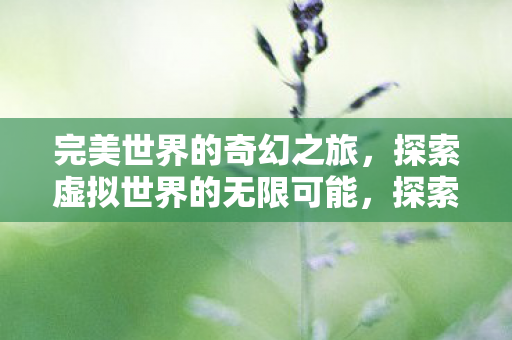 探索虚拟世界的无限可能图片