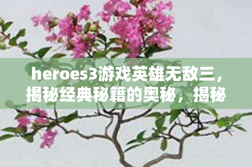 heroes3游戏英雄无敌三，揭秘经典秘籍的奥秘，揭秘英雄无敌三经典秘籍的奥秘