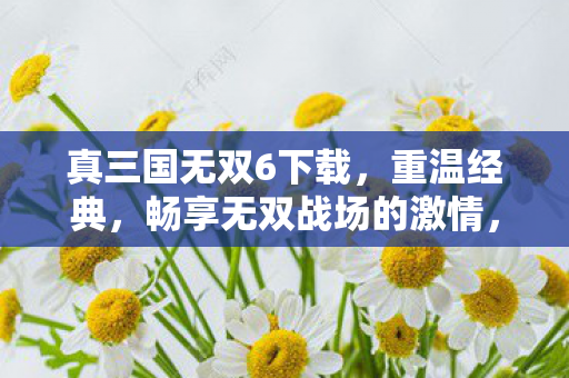 真三国无双6重温经典图片