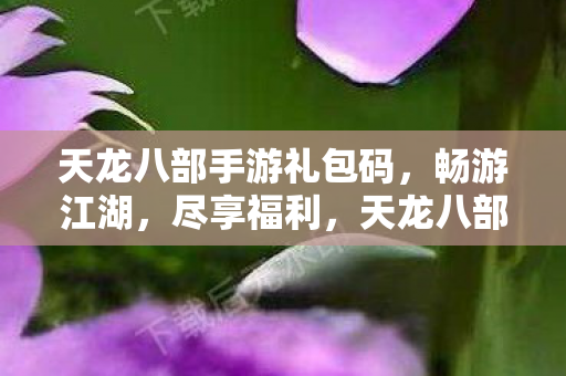 天龙八部手游礼包码，畅游江湖，尽享福利，天龙八部手游礼包码，畅游江湖，尽享福利！