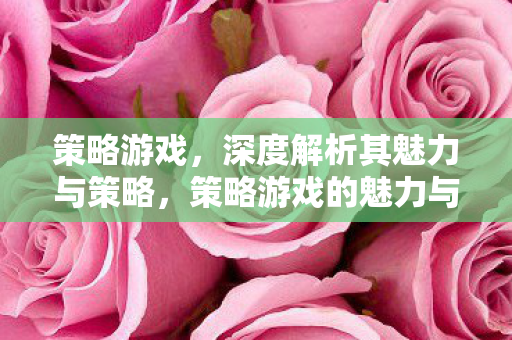 策略游戏，深度解析其魅力与策略，策略游戏的魅力与策略深度解析