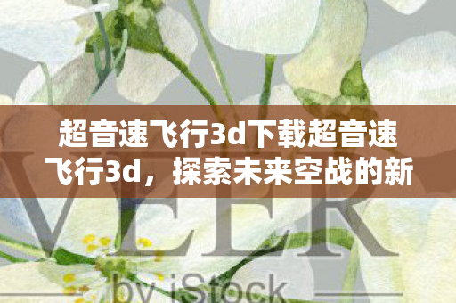超音速飞行3d下载超音速飞行3d，探索未来空战的新篇章，超音速飞行3D，探索未来空战新篇章