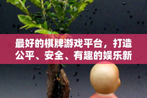 最好的棋牌游戏平台，打造公平、安全、有趣的娱乐新体验，打造公平、安全、有趣的娱乐新体验，最好的棋牌游戏平台