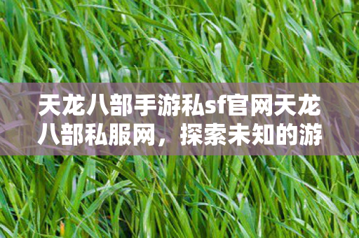 天龙八部手游私sf官网天龙八部私服网图片