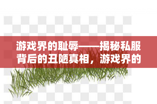 游戏界的耻辱——揭秘私服背后的丑陋真相，游戏界的耻辱，私服背后的丑陋真相揭秘