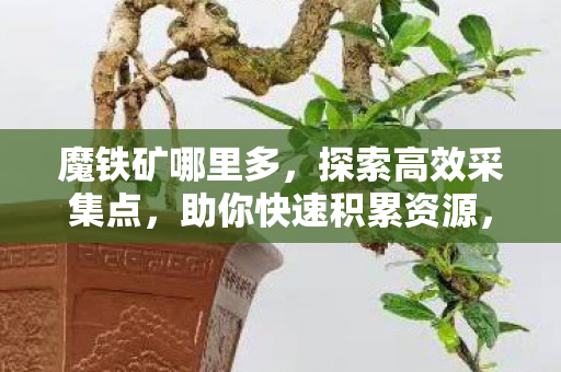 魔铁矿哪里多，探索高效采集点，助你快速积累资源，探索高效采集点，快速积累魔铁矿资源