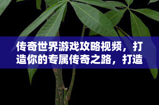 传奇世界游戏攻略视频图片