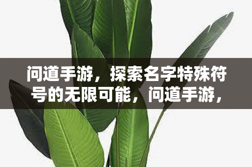 问道手游，探索名字特殊符号的无限可能，问道手游，探索名字特殊符号的无限可能