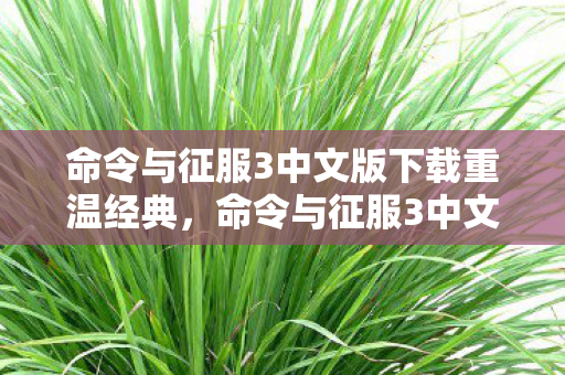 命令与征服3中文版下载重温经典，命令与征服3中文版的魅力，命令与征服3中文版下载，重温经典，感受游戏魅力