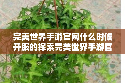 完美世界手游官网什么时候开服的探索完美世界手游官网开服的神秘时刻图片