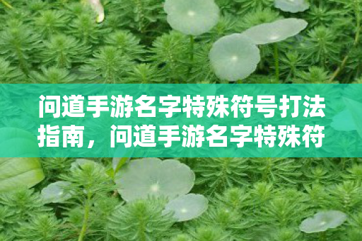 问道手游名字特殊符号打法指南，问道手游名字特殊符号打法全解析