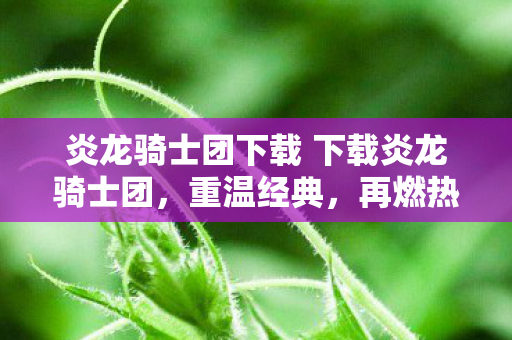 炎龙骑士团下载 下载炎龙骑士团,重温经典,再燃热血,重温经典再燃热血,炎龙骑士团下载 炎龙骑士团下载 下载炎龙骑士团,重温经典,再燃热血,重温经典再燃热血,炎龙骑士团下载