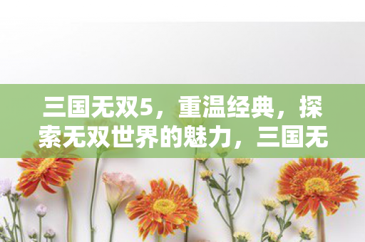 三国无双5,重温经典,探索无双世界的魅力,三国无双5,重温经典,探索无双世界的魅力 三国无双5,重温经典,探索无双世界的魅力,三国无双5,重温经典,探索无双世界的魅力