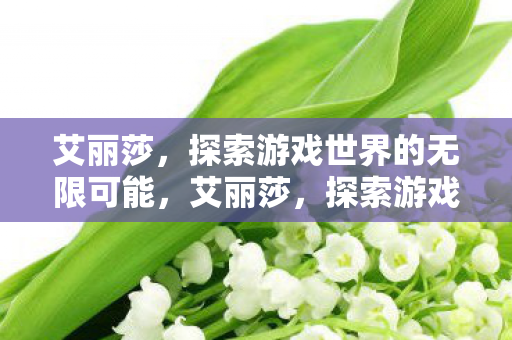 艾丽莎,探索游戏世界的无限可能,艾丽莎,探索游戏世界的无限可能 艾丽莎,探索游戏世界的无限可能,艾丽莎,探索游戏世界的无限可能