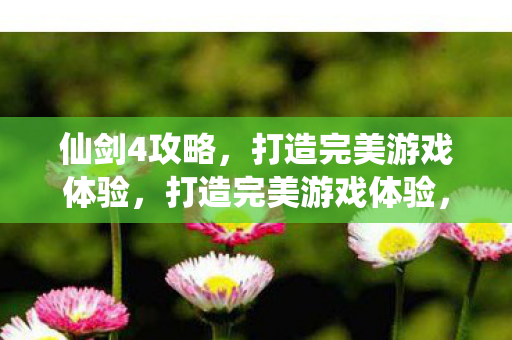 仙剑4攻略，打造完美游戏体验，打造完美游戏体验，仙剑4攻略全解析