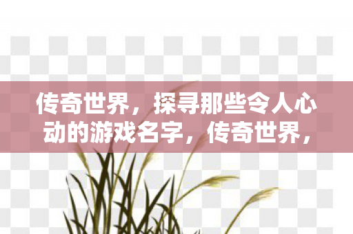 探寻那些令人心动的游戏名字图片