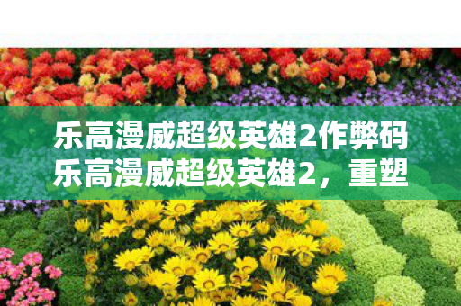 乐高漫威超级英雄2作弊码乐高漫威超级英雄2，重塑经典，再续传奇，乐高漫威超级英雄2，重塑经典，再续传奇