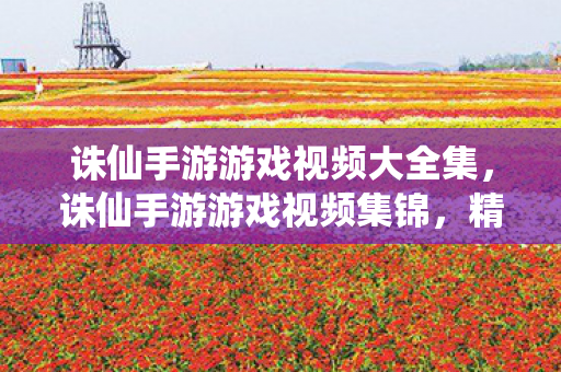 诛仙手游游戏视频大全集,诛仙手游游戏视频集锦,精彩瞬间全收录 诛仙手游游戏视频大全集,诛仙手游游戏视频集锦,精彩瞬间全收录