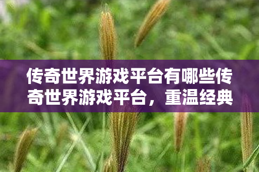 传奇世界游戏平台有哪些传奇世界游戏平台图片