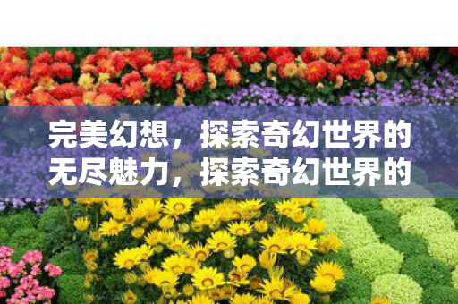 探索奇幻世界的无尽魅力图片