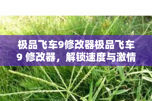 极品飞车9修改器极品飞车9 修改器图片
