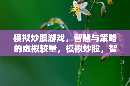 模拟炒股游戏，智慧与策略的虚拟较量，模拟炒股，智慧与策略的虚拟较量