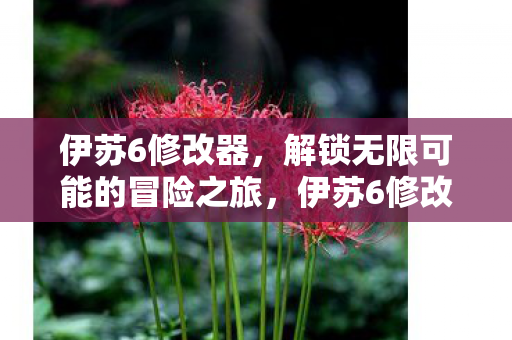 伊苏6修改器,解锁无限可能的冒险之旅,伊苏6修改器,解锁无限可能的冒险之旅 伊苏6修改器,解锁无限可能的冒险之旅,伊苏6修改器,解锁无限可能的冒险之旅