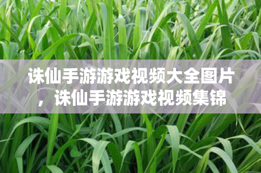 诛仙手游游戏视频大全图片,诛仙手游游戏视频集锦 诛仙手游游戏视频大全图片,诛仙手游游戏视频集锦
