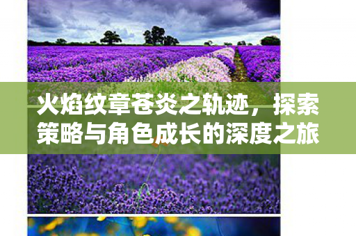 火焰纹章苍炎之轨迹，探索策略与角色成长的深度之旅，火焰纹章，苍炎之轨迹——策略与角色成长的深度探索之旅