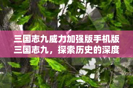 三国志九威力加强版手机版三国志九，探索历史的深度与广度，三国志九威力加强版，探索历史的深度与广度