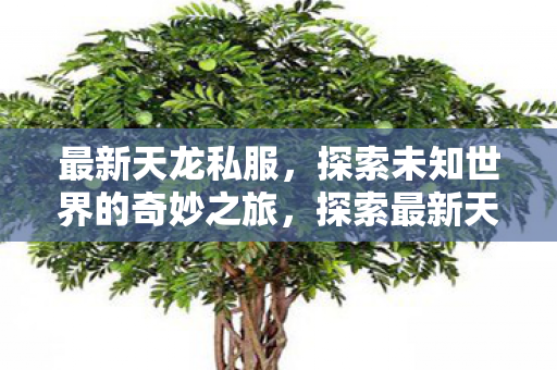 最新天龙私服,探索未知世界的奇妙之旅,探索最新天龙私服,开启未知世界的奇妙之旅 最新天龙私服,探索未知世界的奇妙之旅,探索最新天龙私服,开启未知世界的奇妙之旅