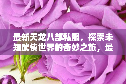 探索未知武侠世界的奇妙之旅图片