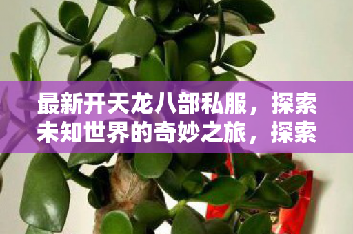 探索未知世界的奇妙之旅图片