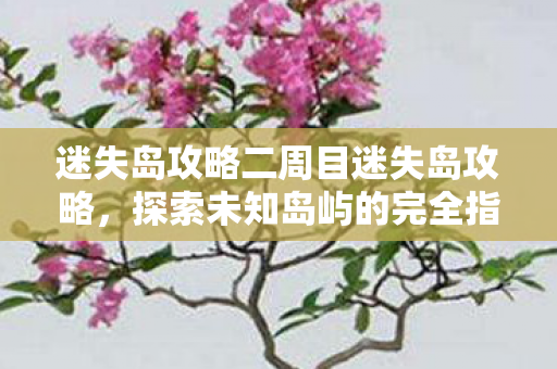 迷失岛攻略二周目迷失岛攻略,探索未知岛屿的完全指南,二周目迷失岛完全攻略,探索未知岛屿的终极指南 迷失岛攻略二周目迷失岛攻略,探索未知岛屿的完全指南,二周目迷失岛完全攻略,探索未知岛屿的终极指南