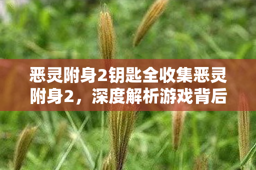 恶灵附身2钥匙全收集恶灵附身2,深度解析游戏背后的故事与制作团队,恶灵附身2钥匙全收集,揭秘游戏背后的故事与制作团队 恶灵附身2钥匙全收集恶灵附身2,深度解析游戏背后的故事与制作团队,恶灵附身2钥匙全收集,揭秘游戏背后的故事与制作团队