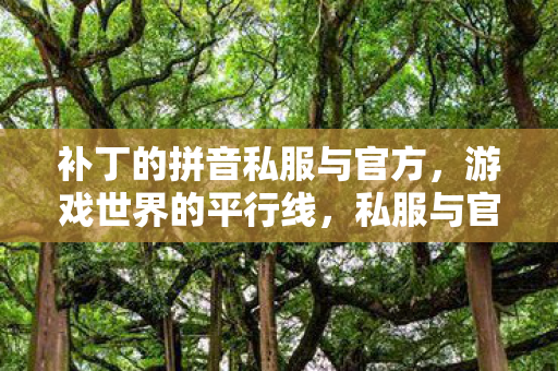 补丁的拼音私服与官方，游戏世界的平行线，私服与官方，游戏世界的平行线