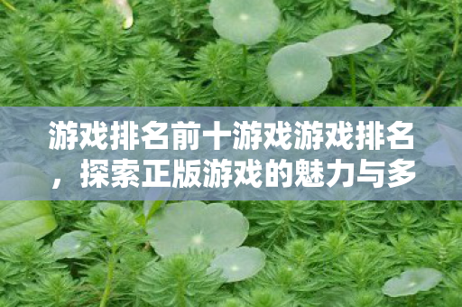 游戏排名前十游戏游戏排名，探索正版游戏的魅力与多样性，探索正版游戏魅力与多样性，游戏排名前十揭晓
