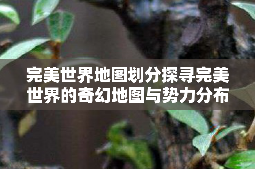 完美世界地图划分探寻完美世界的奇幻地图与势力分布图片