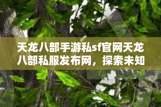 天龙八部手游私sf官网天龙八部私服发布网图片