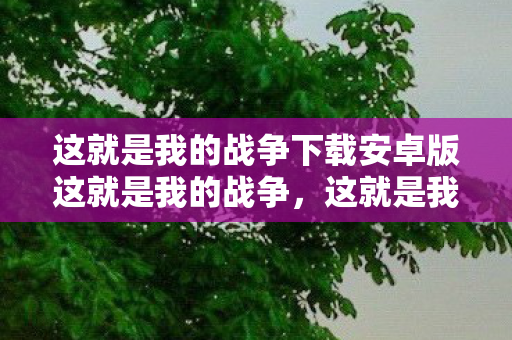 这就是我的战争下载安卓版这就是我的战争，这就是我的战争安卓版下载