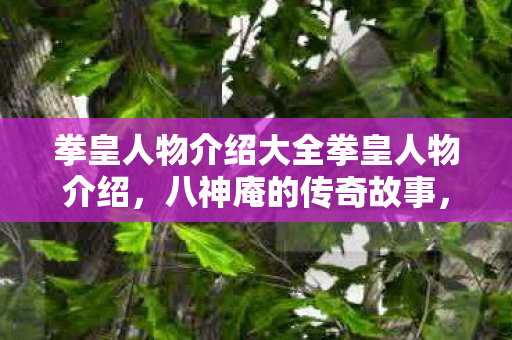 拳皇人物介绍大全拳皇人物介绍图片