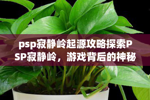 psp寂静岭起源攻略探索PSP寂静岭，游戏背后的神秘世界，PSP寂静岭起源，探索游戏背后的神秘世界